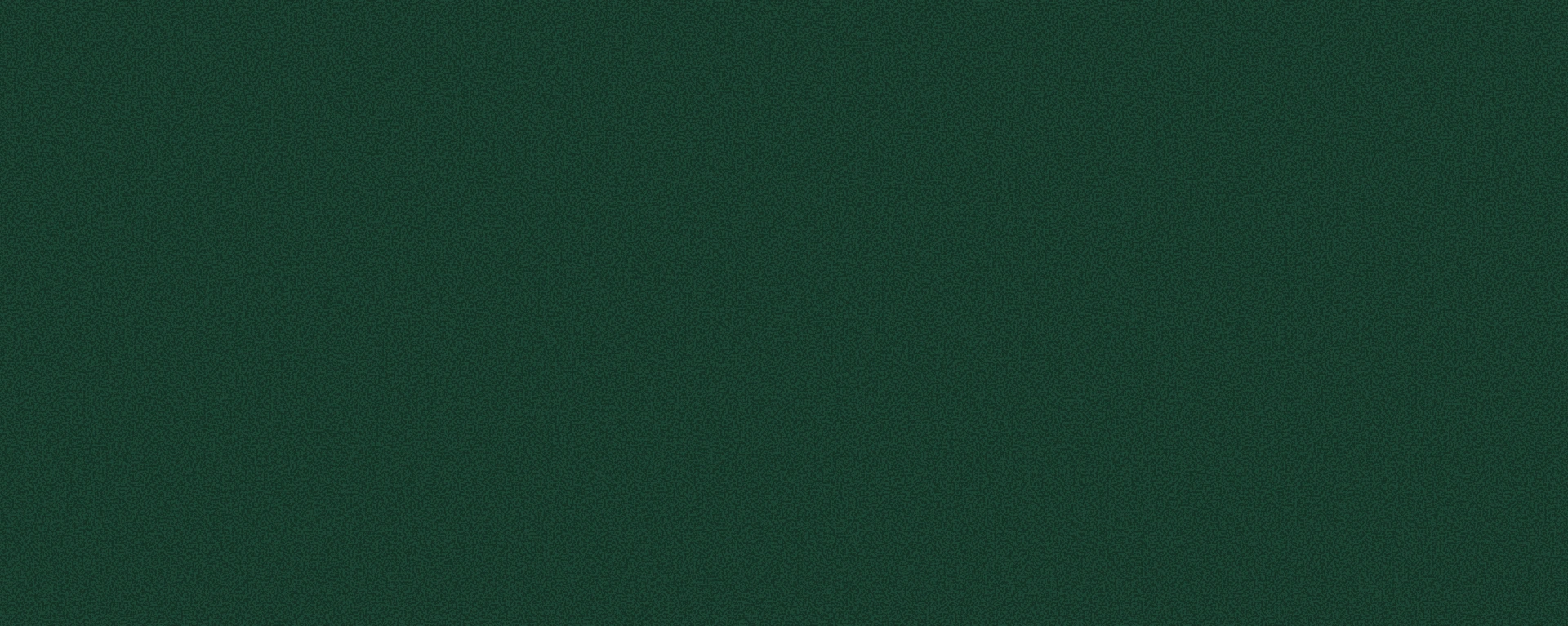 Custom Ecommerce Banner