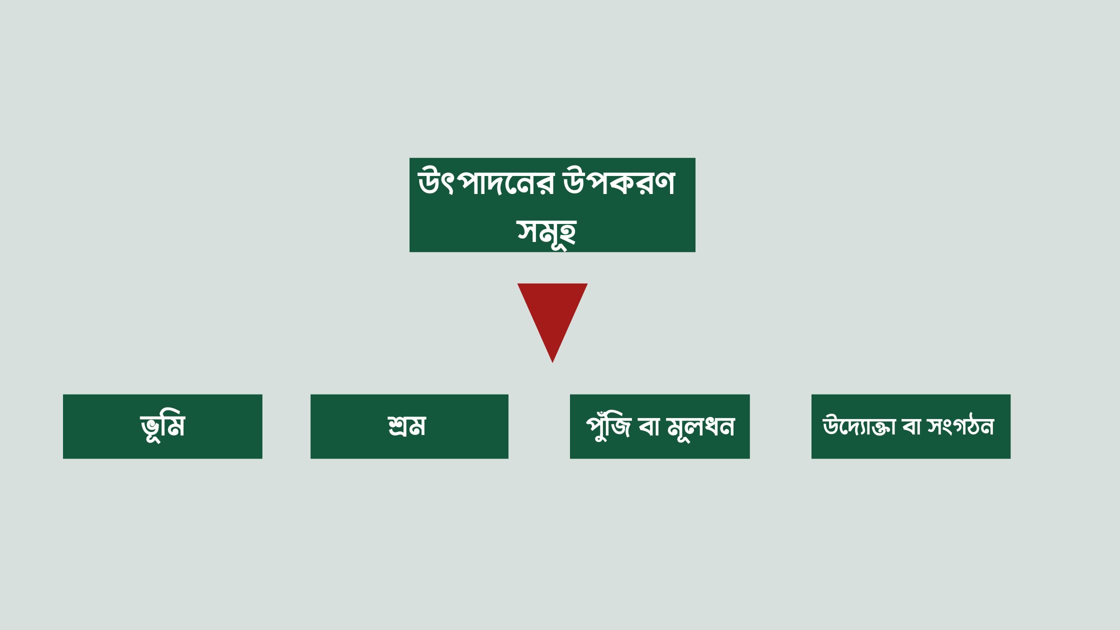 উৎপাদনের উপকরণ সমূহ