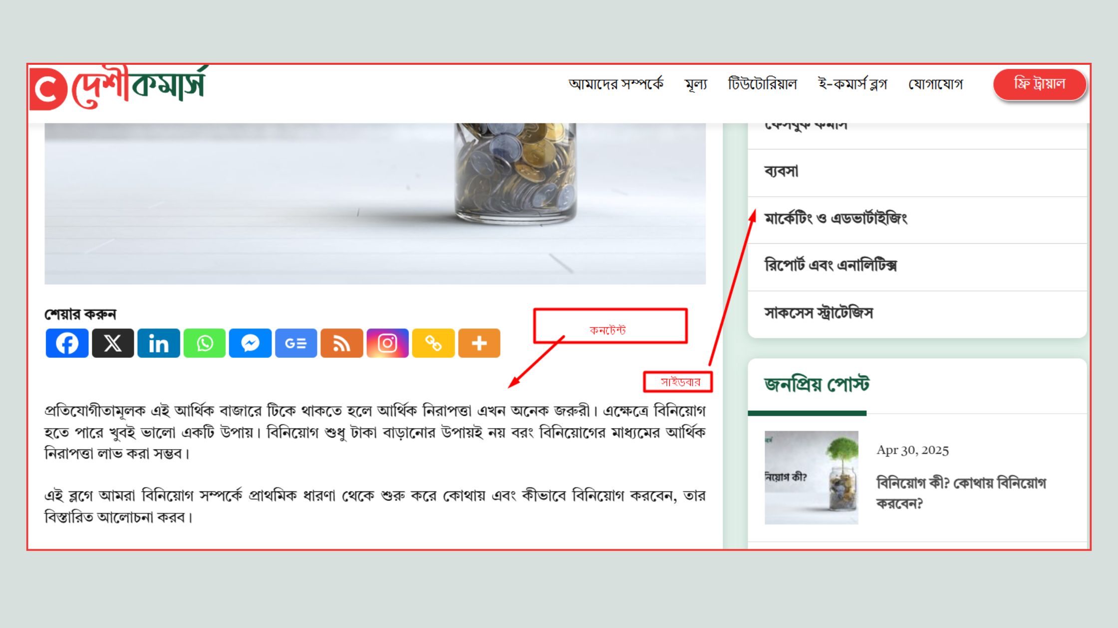 কনটেন্ট সেকশন